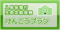 入院保障付生命定期保険　けんこうプラン