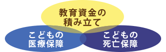 教育資金の積み立て、こどもの医療保障、こどもの死亡保障