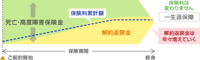 終身保険は一生涯保障で解約返戻金は年々増えていきます