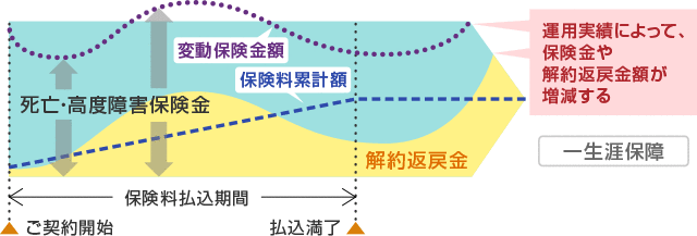 変額終身保険は一生涯保障で運用実績によって保険金や解約返戻金が増減します